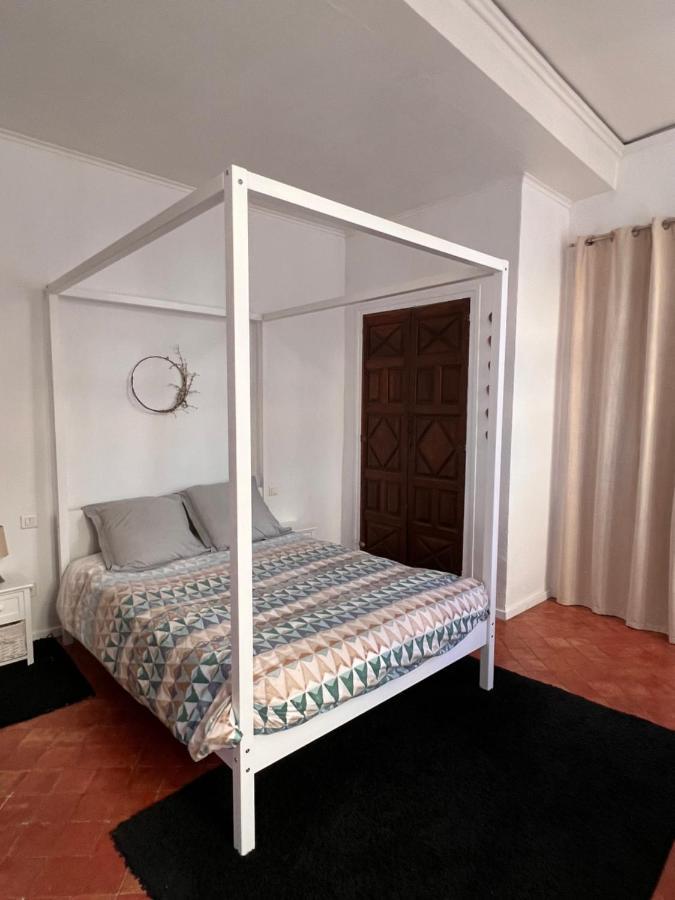 Perpignan Appartement En Plein Centre Historique Dış mekan fotoğraf